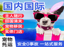 淮安航空托运国际宠物托运 【国
